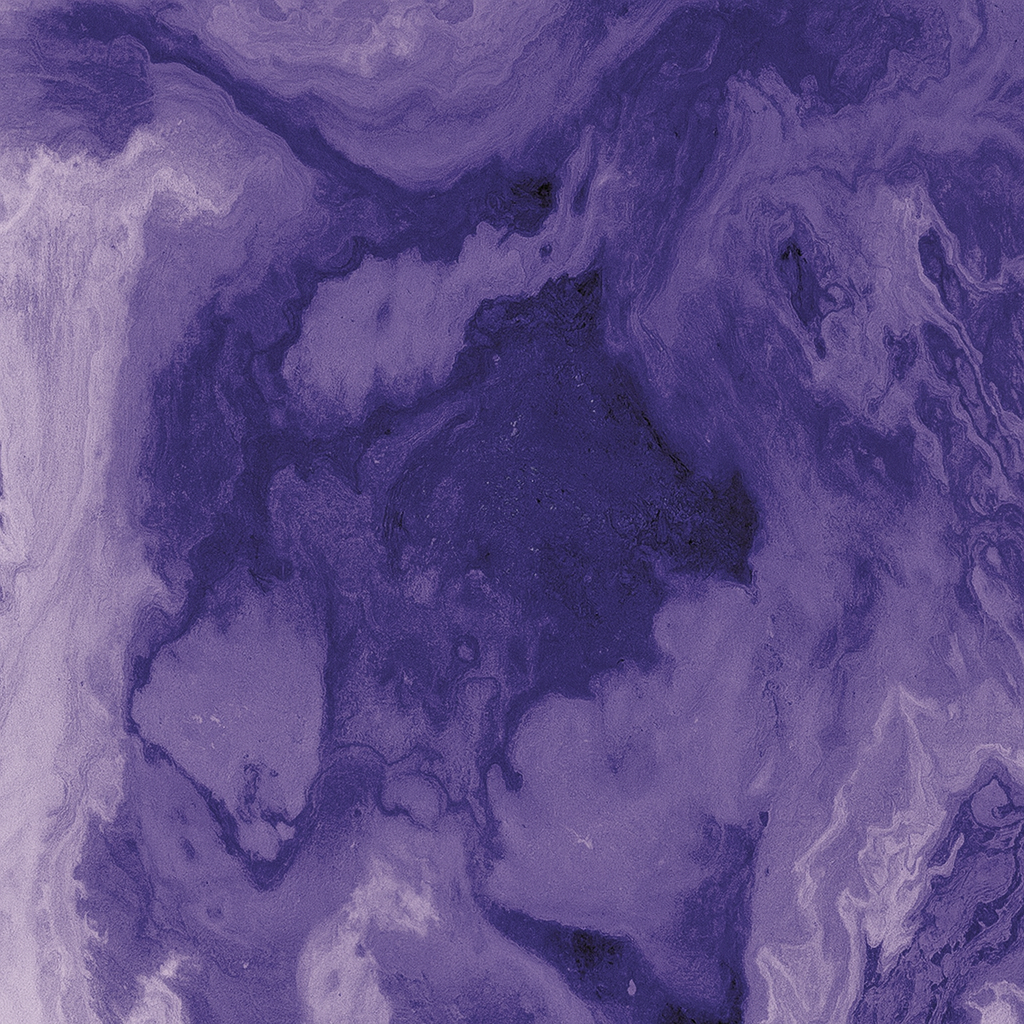 The Dream Collection